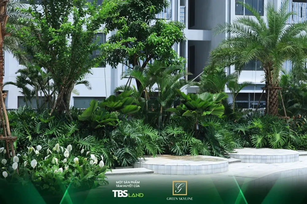 Green Skyline thực tế